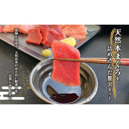 ふるさと納税 本まぐろ　大トロ・中トロ・赤身セット 500g 鮪 本鮪 本マグロ マグロ 刺身 刺し身 海鮮 サク  静岡県静岡市