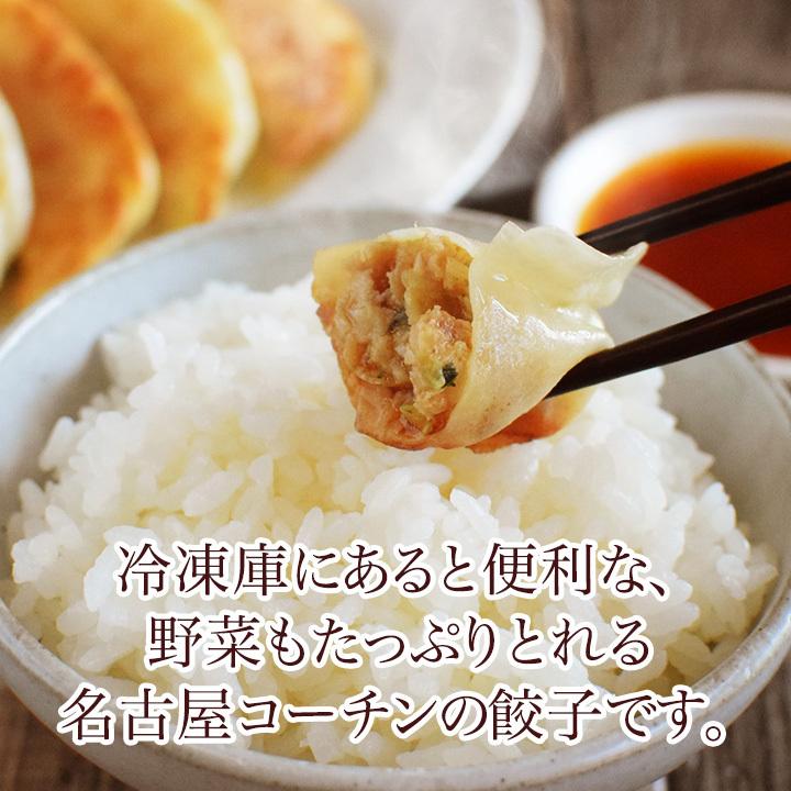 名古屋コーチン餃子 60個入り(30個入り×2袋) 冷凍餃子 餃子 送料無料 お試し 生餃子 冷凍生餃子 食品 惣菜 中華 鶏肉