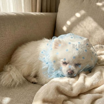 💕在臺出貨🔥狗狗防亂吃網紗面罩舒適透氣中小型犬專用嘴套頭紗防誤食防舔網套
