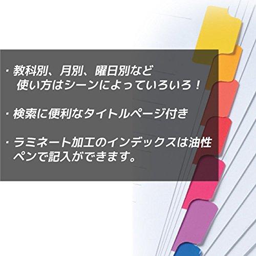 マルマン インデックス A4 幅広 30穴 (2穴対応) インデックスシート 10山 5組 1冊 LT3010F