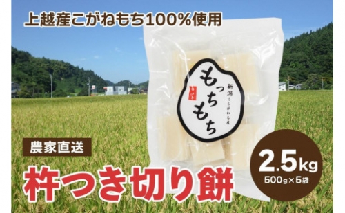 新潟産 もち米の「こがねもち100%」切り餅5袋（合計50個入り）