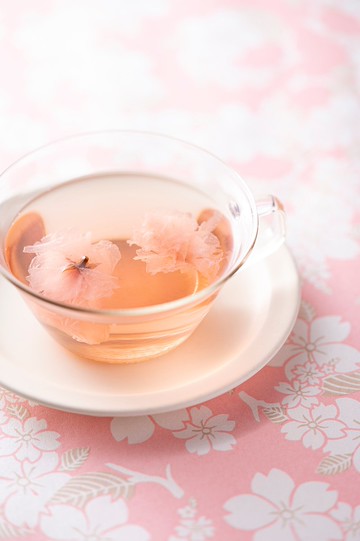 櫻花Sakura