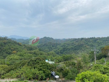 霧峰省議會後花園·近亞洲大學仁德巷農地｜台中市霧峰區霧峰段坑口小段