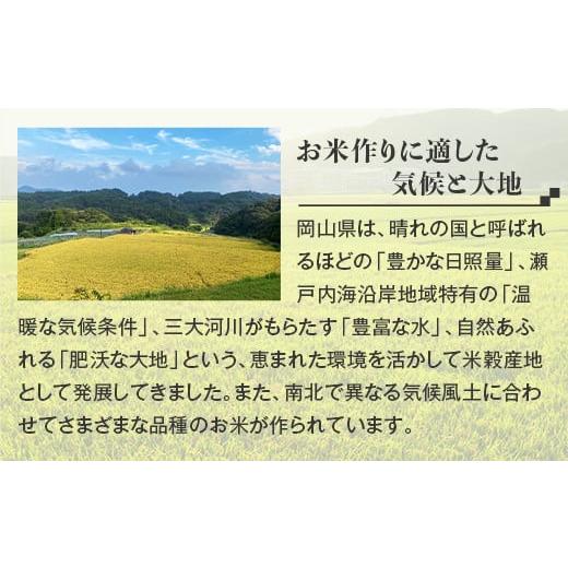 ふるさと納税 岡山県 井原市 美星町産こしひかり2kg