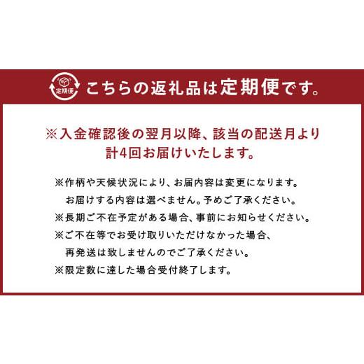 ふるさと納税 岩手県 二戸市 旬の採れたて 野菜 産地直送 定期便 年4回(9月・12月・2月・5月)