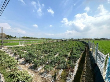 美濃區｜臨路10米｜五分農地｜高雄市美濃區吉安