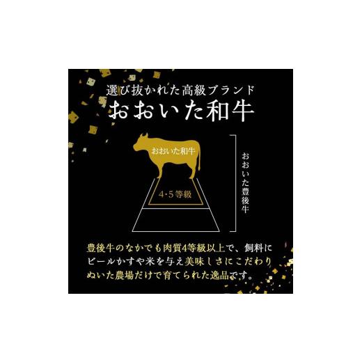 ふるさと納税 大分県 佐伯市 おおいた和牛 リブロースステーキ (計1kg・リブロースステーキ約250ｇ×4枚 ステーキソース20g×4袋)  