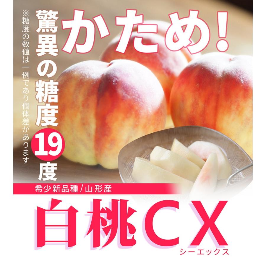 硬い桃 白桃 秀品 白桃CX 2.5kg 山形県産 送料無料 固い桃 かたい桃 かため 硬め 期間限定 産地直送 山形  シーエックス