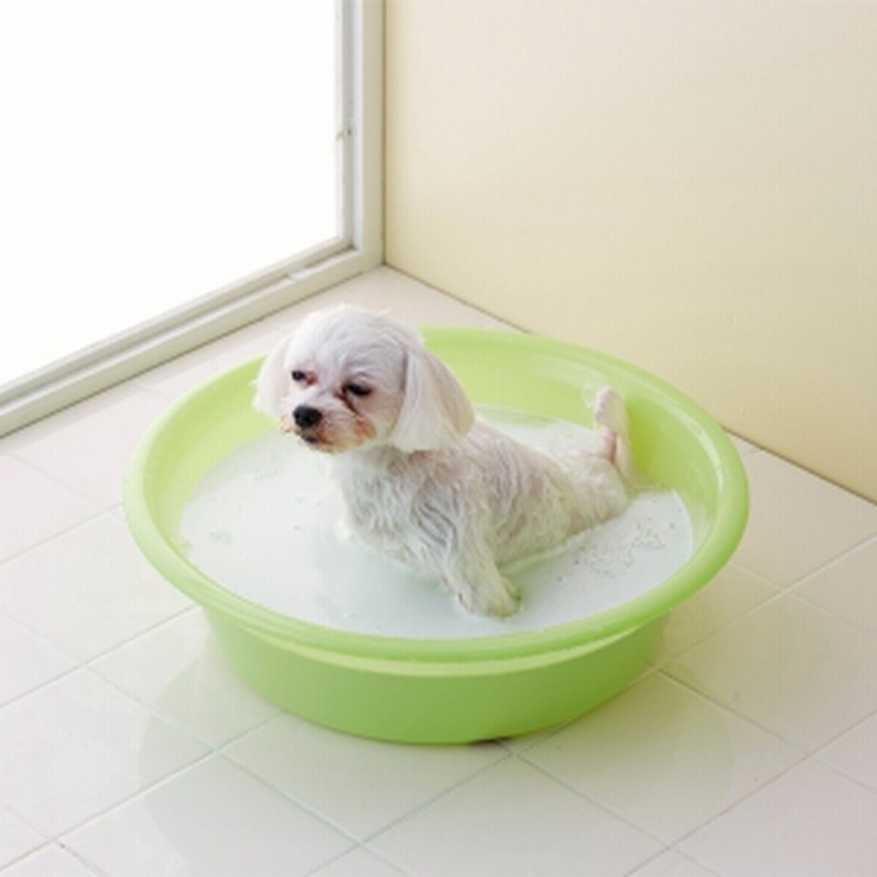 ゾイック 炭酸泉ex 炭酸パウダー 入浴剤 24セット シャンプー バス用品 犬用 通販 Lineポイント最大1 0 Get Lineショッピング