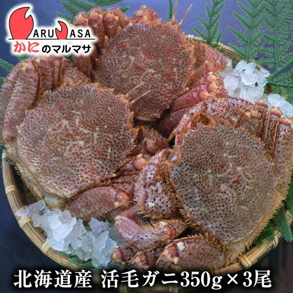 活毛がに 350g 3尾セット 北海道産 極上毛ガニ お歳暮 ギフト お土産 通販 あすつく北海道