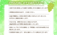 BS-365 シャインマスカット2kg　(2～6房) 〔7月下旬～8月上旬に発送〕