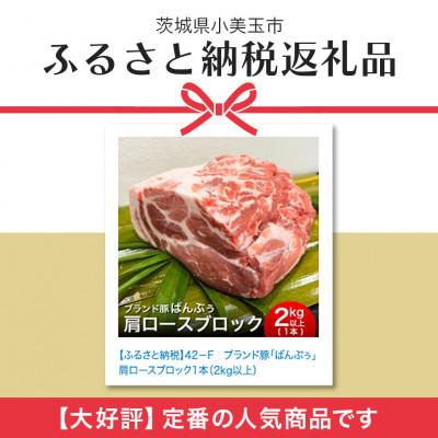 ふるさと納税 小美玉市 ブランド豚「ばんぶぅ」肩ロースブロック1本