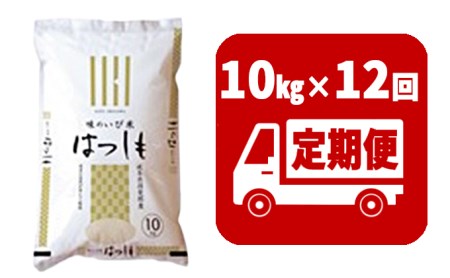 定期便　揖斐郡産  味のいび米はつしも精米10kg×12ヶ月