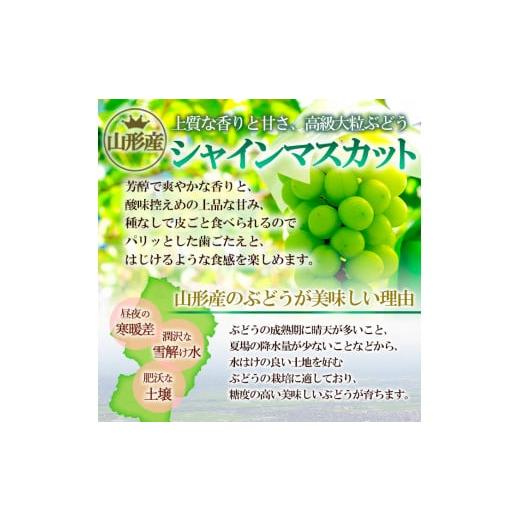 ふるさと納税 山形県 山形市 ☆フルーツ王国山形☆ シャインマスカット 秀品 1.4kg以上(2〜4房)[9月お届け] FS23-732