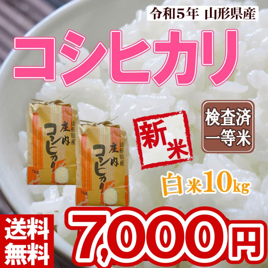 白米 10kg (5kg×2) 山形県産 コシヒカリ 米 お米 精米済 令和5年（送料無料）