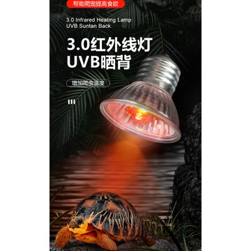 【台灣現貨 台灣專用110V】 紅外線爬蟲燈 紅外線促進代謝 幼崽保溫 爬蟲燈 UVA燈 聚熱燈泡 保溫燈 取暖燈 夜燈