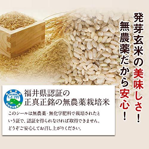 発芽玄米 無農薬・無化学肥料栽培 無農薬コシヒカリ「特選」限定米 5kg 令和5年産 真空パック 米・食味鑑定士認定米