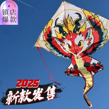 新款小火龍風箏廠家批發兒童卡通國潮風微風易飛長尾戶外擺攤玩具
