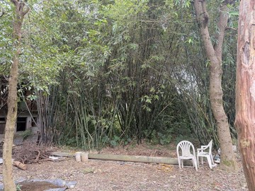 陸總部｜龍吟段｜一般農業區小資投資農地｜桃園市龍潭區龍吟段