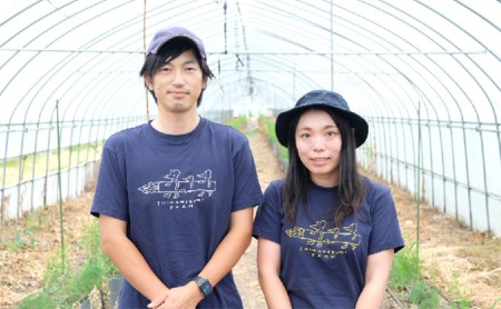 北海道 上富良野産 ホワイトアスパラガス Lサイズ 900g アスパラ ホワイトアスパラ 上富良野町 令和6年発送 先行受付 野菜 やさい