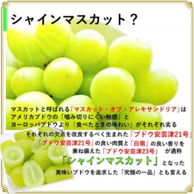 ふるさと納税 南アルプス市 安心のクール便発送　シャインマスカット 1kg (2房)　山梨県南アルプス市