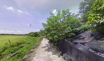 專售-壽豐農地｜湖山慢活田園UE023F｜花蓮縣壽豐鄉大湖腳段