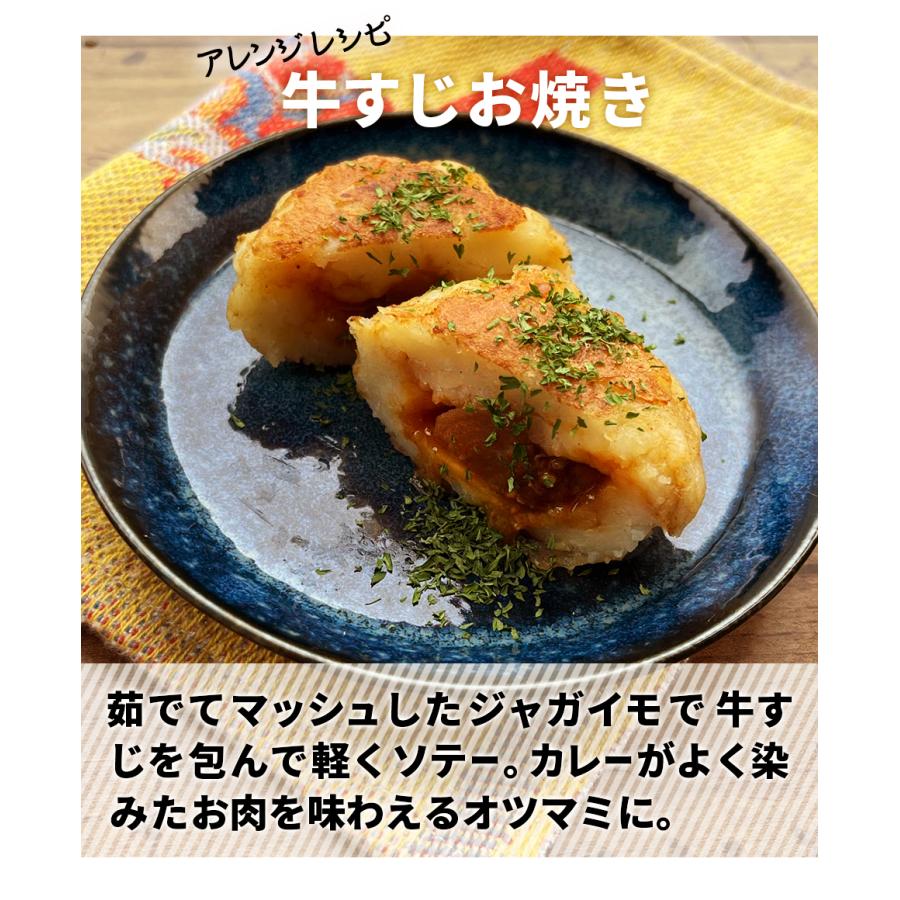 超得クーポン配布中 カレー レトルト 牛すじカレー 3袋 100％国産 牛すじ 中辛 惣菜 非常食 おつまみ 珍味 牛肉 ご飯のお供 贅沢 酒のつまみ  年末年始