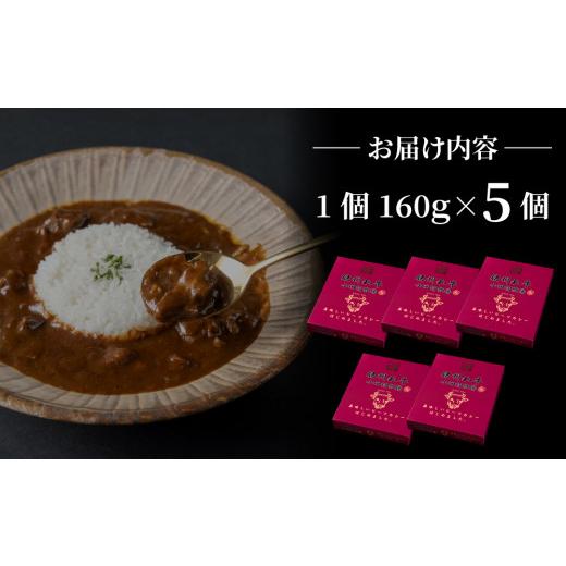 ふるさと納税 長野県 東御市 信州プレミアム牛使用「信州和牛カレー」５個セット（１個1人前160g）