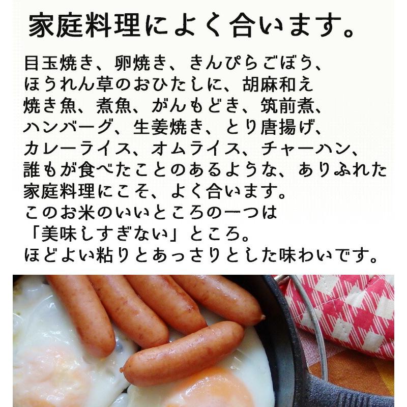 新米 米 2kg 5年産 青森県産 ときわGreen 白米2kg お試し ポイント消化 サンプル