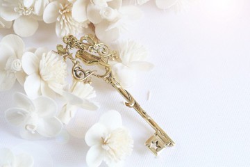 項鍊、鑰匙吊墜、藤蔓和鳥