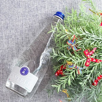 卡司得洛 | 氣泡礦泉水 750ML X 12瓶 | 氣泡綿密 玻璃瓶灌裝