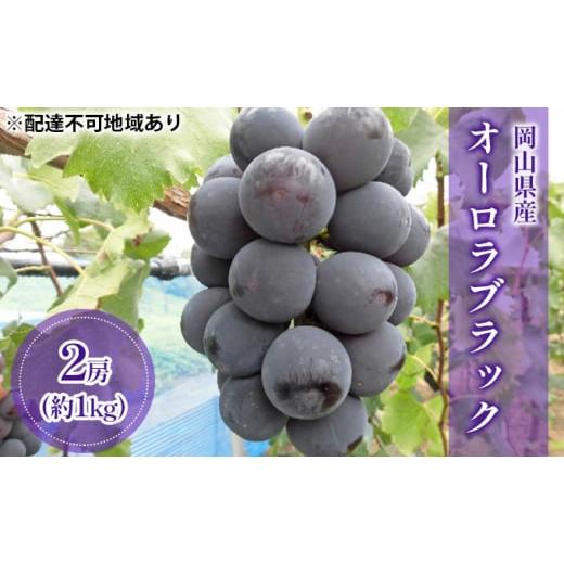 ふるさと納税 岡山県 里庄町 ぶどう 2024年 先行予約 オーロラブラック （ 種無し ）約1kg（2房） ブドウ 葡萄 岡山県 国産 フルーツ 果物 ギフト