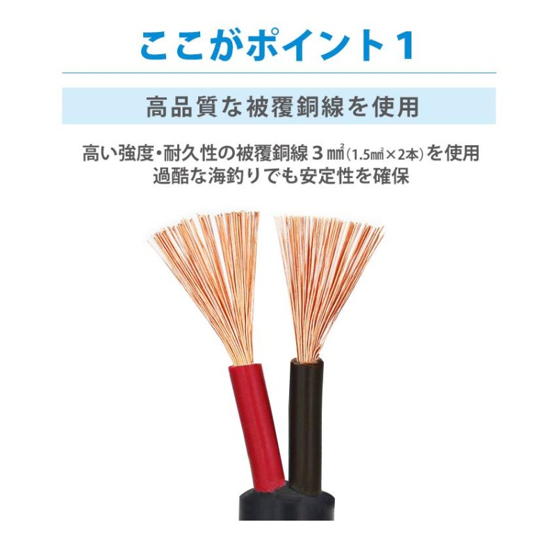 DAIWA SHIMANO ダイワ シマノ 電動リール 2芯、6芯 タイプ専用 延長コード 0.4m BMバッテリー仕様 2穴、6穴タイプ バッテリー  釣り 船釣り 219-01_06 | LINEショッピング