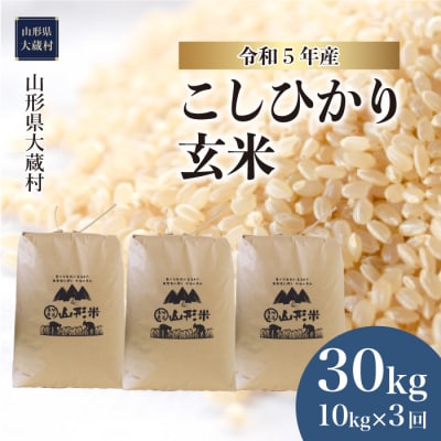 令和5年産 コシヒカリ30kg定期便(10kg×3回)