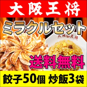 大阪王将ミラクルセット 冷凍食品 送料無料 お弁当 惣菜 おかず 炒飯 冷凍餃子 福袋 仕送り