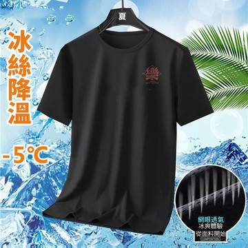 【台灣現貨】冰絲T 排汗衫 速乾衣 大尺碼速乾衣 短袖T恤冰絲上衣 短袖上衣 運動衫 吸濕排汗衣冰絲短袖 T恤 CNBG
