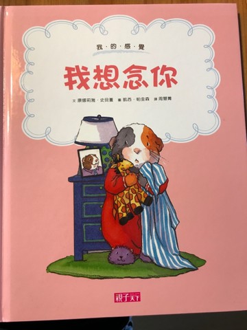 我想念你[二手書_近全新]