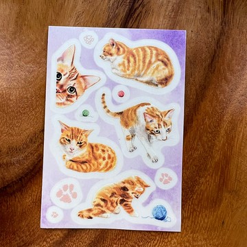 顧全大橘透明白墨防水貼紙