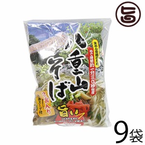 シンコウ 八重山そば 2食入り×9袋 沖縄 人気 琉球料理 定番 土産