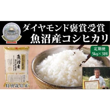 ふるさと納税 魚沼産こしひかり 5kg（5kg ×1）×全3回 新潟県