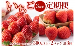 ＜いちご3ヶ月定期便＞先行受付 とちあいか とちおとめ 300g以上2パック計3回 苺 フルーツ 高級※着日指定不可※離島への配送不可※2024年1月上旬頃より順次発送予定