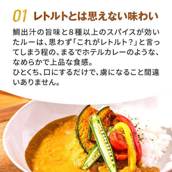 レトルトカレー 五島の鯛で出汁をとったなんにでもあうカレー プレーン 30袋セット