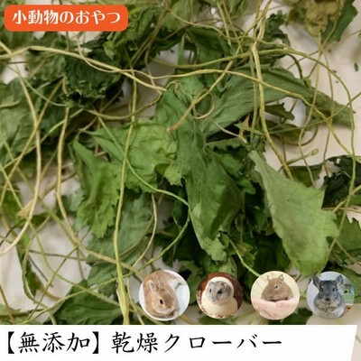 小動物 うさぎ おやつの通販 4 271件の検索結果 Lineショッピング