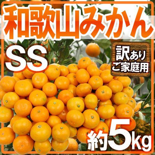 みかん ”和歌山みかん” 訳あり 小粒・小玉 SSサイズ 約5kg 送料無料