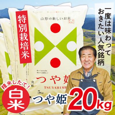 ふるさと納税 最上町 令和5年産山形県産特別栽培米つや姫20kg