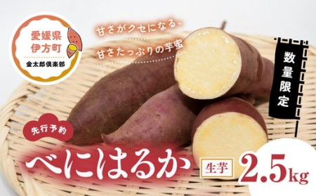 べにはるか 生芋（2.5kg）| 紅はるか さつまいも サツマイモ 産地直送 ※2023年12月上旬～2024年4月下旬頃に順次発送予定