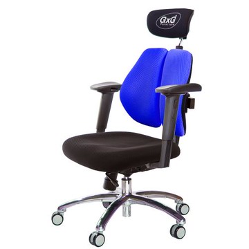 GXG 雙軸枕 雙背工學椅(鋁腳/2D手遊休閒扶手)  TW-2606 LUA2JM