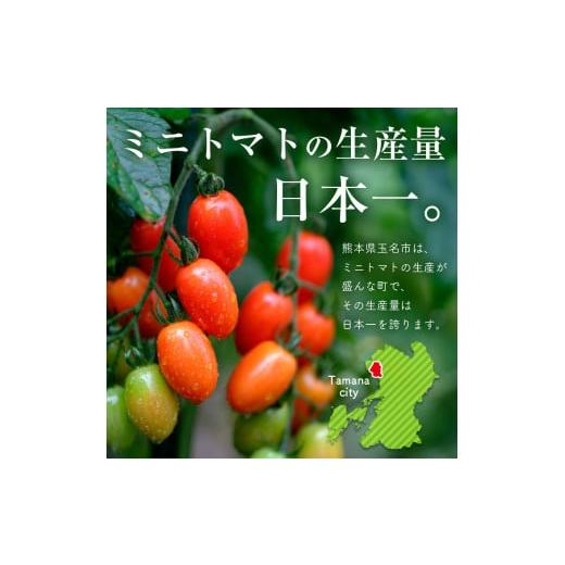 ふるさと納税 熊本県 玉名市 『大家ファーム』のミニトマト アイコ 3.5kg 熊本県玉名