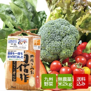 野菜と特別栽培米2kgセット 野菜詰め合わせ お歳暮 ギフト 誕生日祝い のし無料