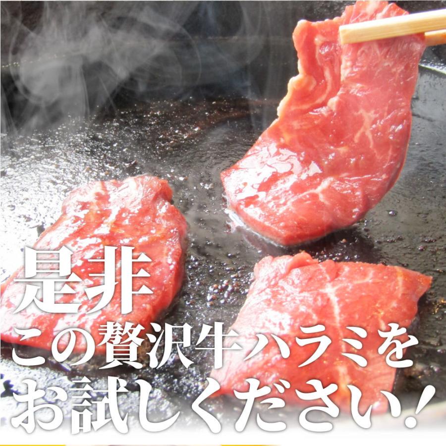 牛ハラミ焼肉（タレ漬け）500g（250g×2） タレ 赤身 はらみ 秘伝 焼肉 やきにく ハラミ アウトドア お家焼肉 BBQ キャンプ キャンプ飯